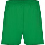 CALCIO VERT FOUGÈRE