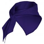 Bandana JARANERO violet